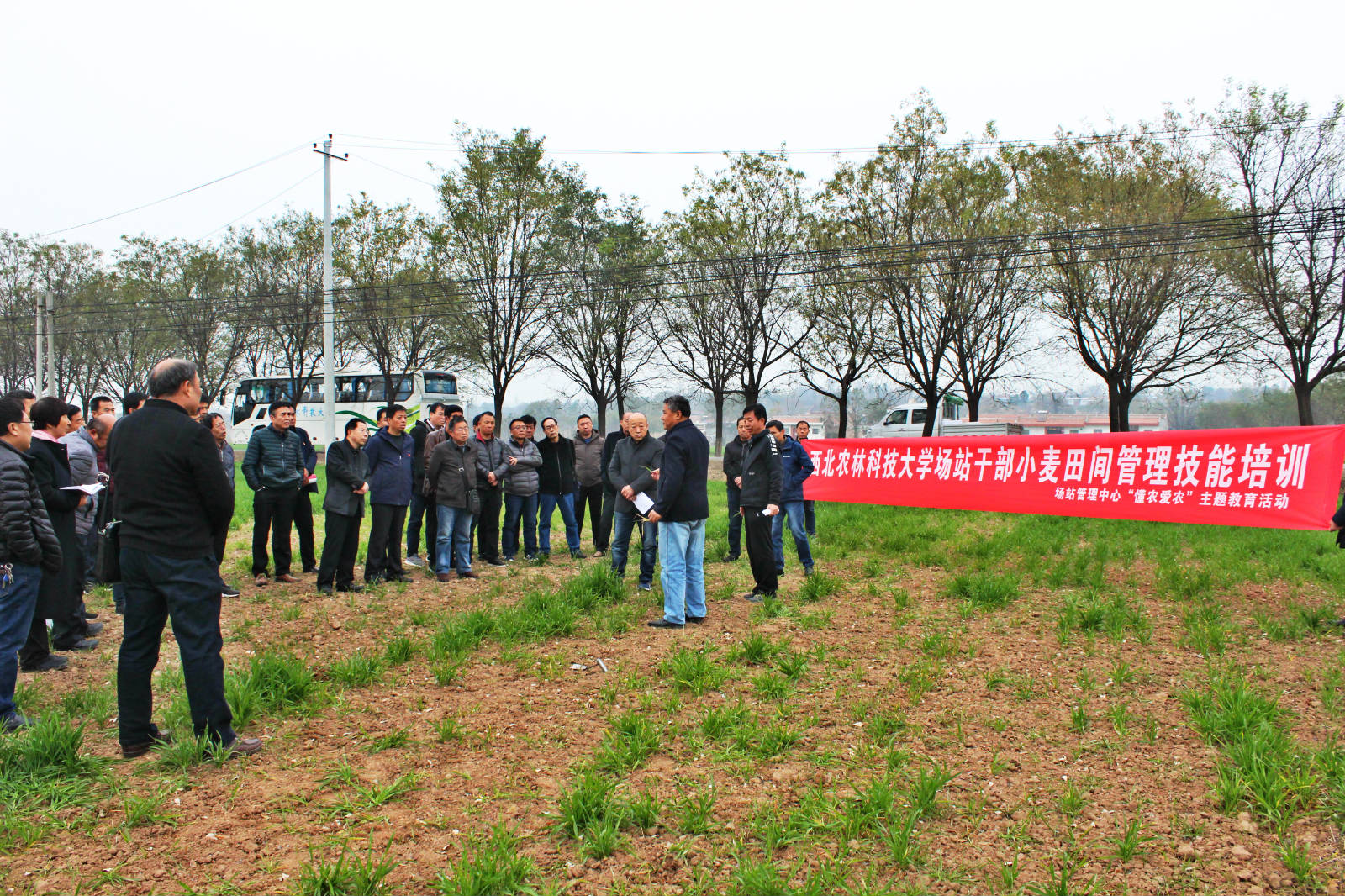 【不忘初心 牢记使命】（28）一场开在田间地头的主题党日活动