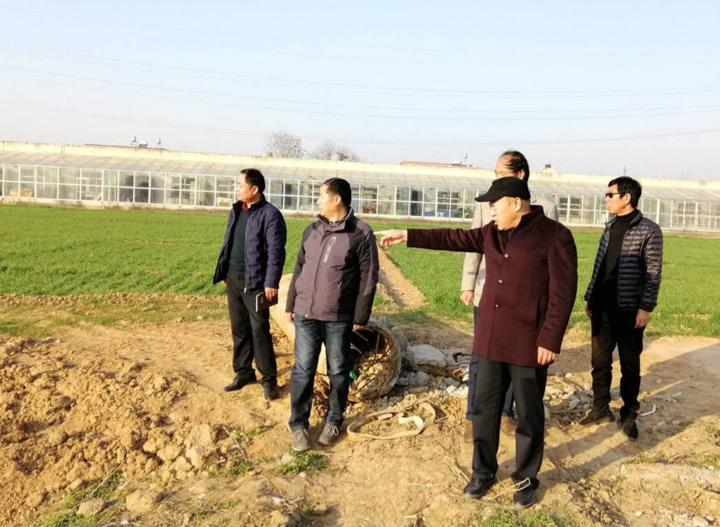 【曹新庄试验农场】朱荣科巡视检查生产设施和环境治理工作