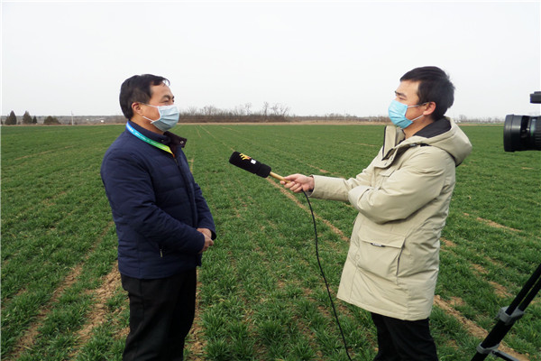 80418bb8863547cd810f10080e57158a.jpg 植保学院植物病理学王保通教授对我省小麦早春病虫害防控提出科学建议.jpg