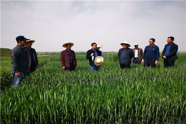 0b88190967c1499bb1661f6dd32657ec.jpg 康振生院士介绍小麦逆境生物学研究创新平台规划.jpg