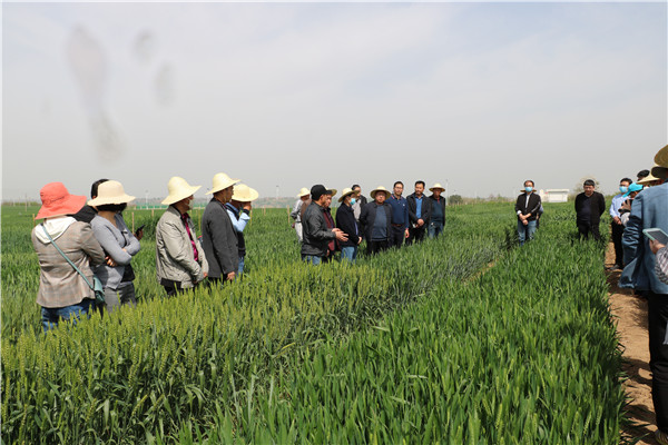 bfd8bdbe9c4b4cbeac008a12d6129d68.jpg 韩德俊教授介绍小麦逆境生物学研究创新平台建设情况.jpg