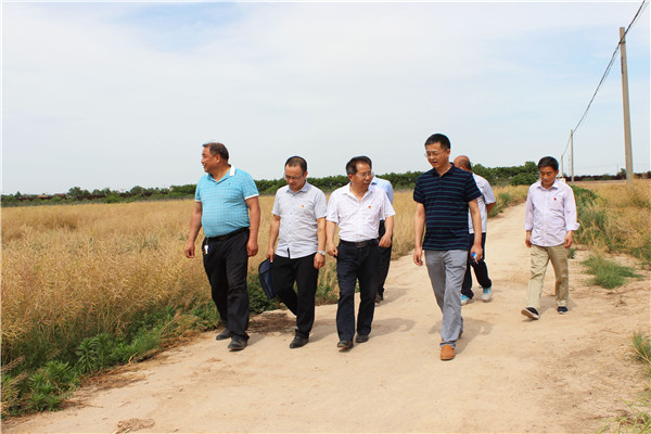 巡察组王德连一行在咸阳试验站秦汉基地实地查看试验地使用情况.jpg