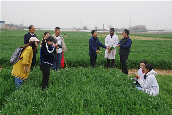 记者在斗口试验站小麦试验示范展示田采访调研_副本.jpg