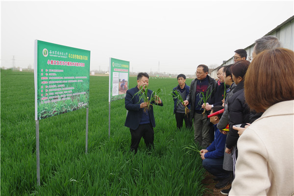 在试验站试验田参观学习_副本.jpg