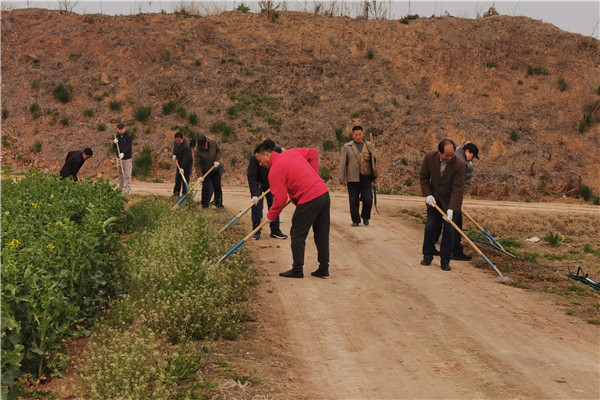 集中开展试验田环境整治行动.jpg