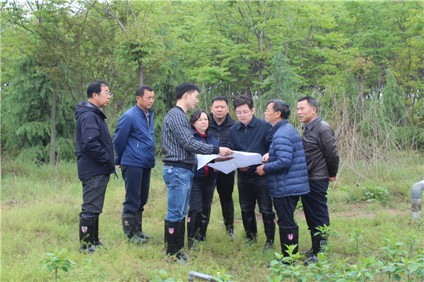 评审组实地考察柿种育苗基地.jpg