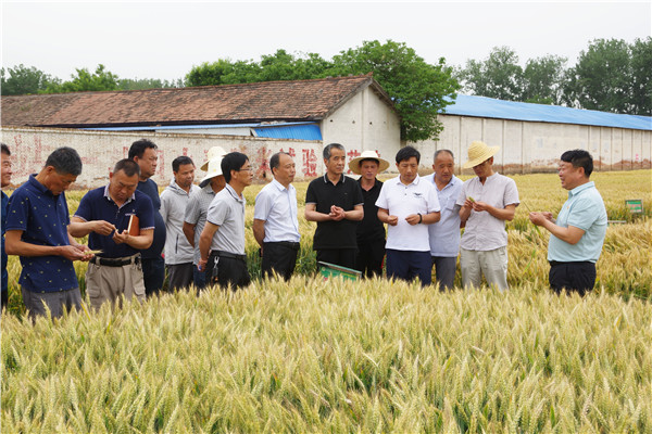 农学院海江波副教授应邀培训授课.jpg
