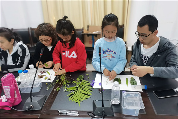 制作植物标本.jpg