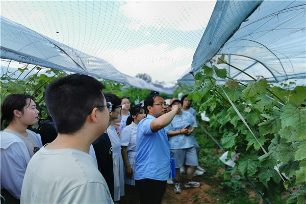 孟江飞老师讲课.jpg