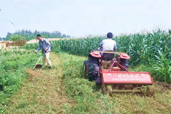 人工与机械机械除草.jpg