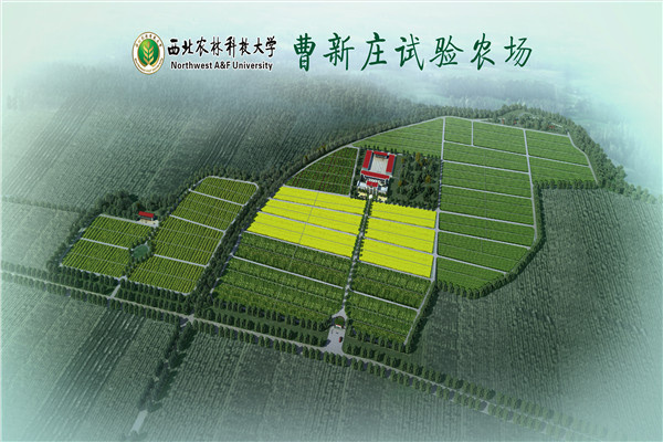 曹新庄.jpg