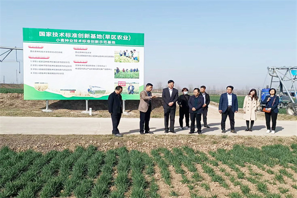 808c614be2c248438c5f85a496861943.jpg 汇报小麦育种研究进展.jpg