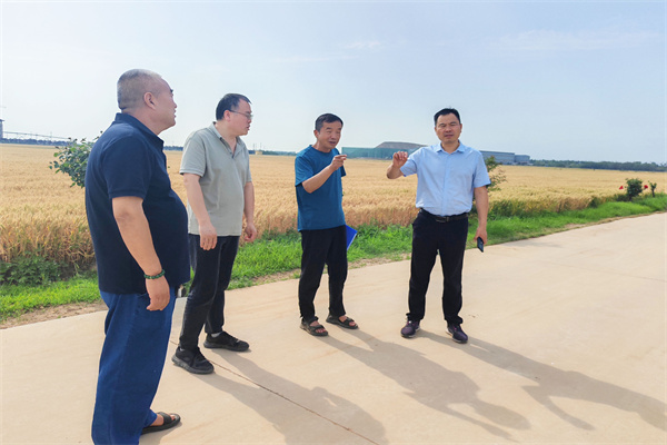 黄伟在自贸区试验地检查.jpg