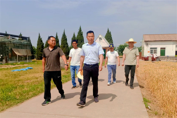 黄伟在曹新庄实验农场检查“三夏”准备工作.jpg