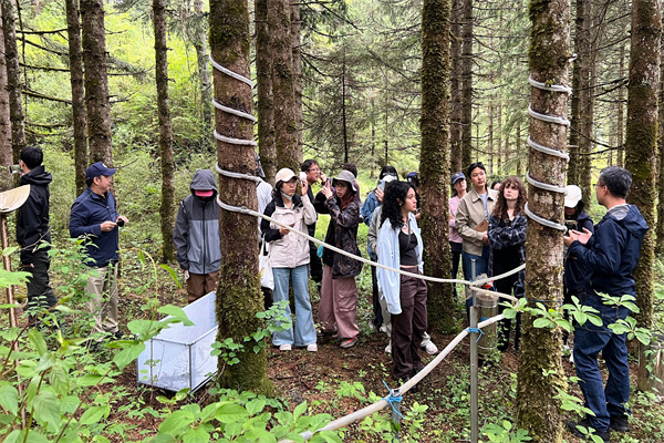 林区实地考察.jpg