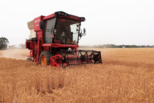 机械收割.jpg