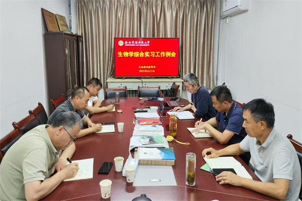 工作例会.jpg