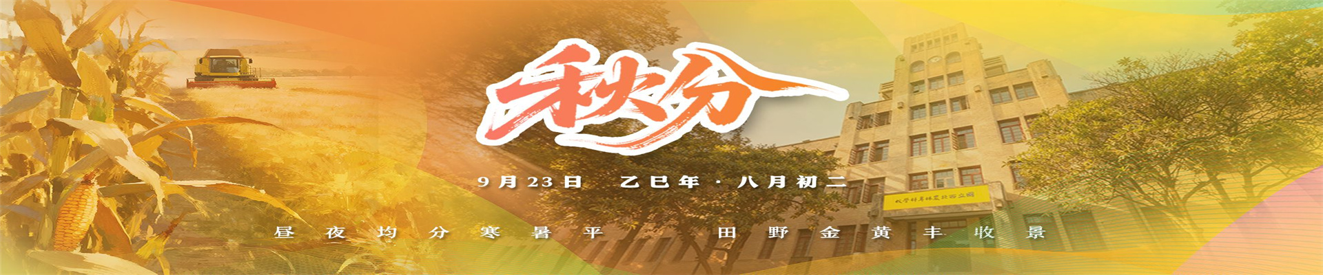 秋分