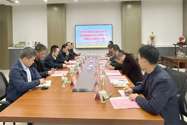 调研座谈.jpg