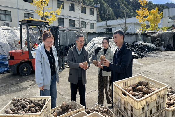考察交流_副本.jpg