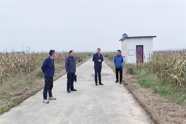 黄伟在自贸区试验地督导秋收工作_副本.png