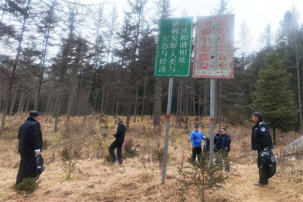 清理整治林区环境.jpg