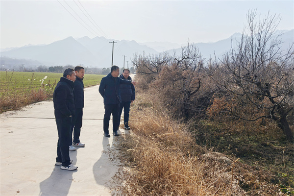 检查河西樱桃园安全状况_副本.jpg