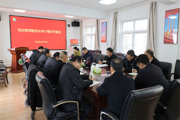 场站召开审计整改专题会