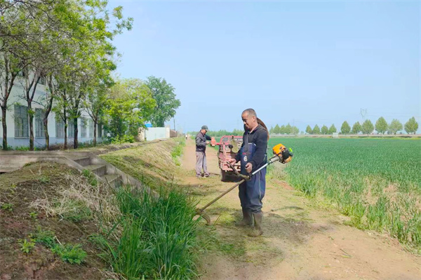 清理渠道周边杂草.jpg