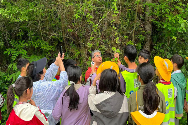 植物学探索小组研学.jpg
