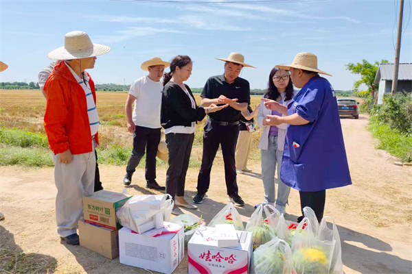 王晓娟一行查看咸阳试验站夏收小麦籽粒品质.jpg