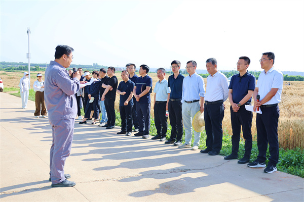 在田间地头召开的“三夏”工作动员会.jpg
