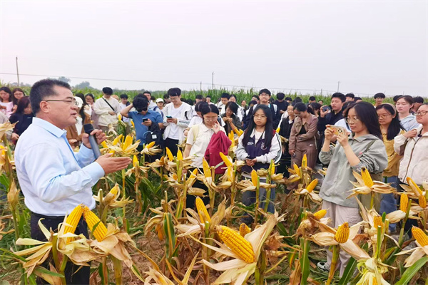 教学实习 (2).jpg