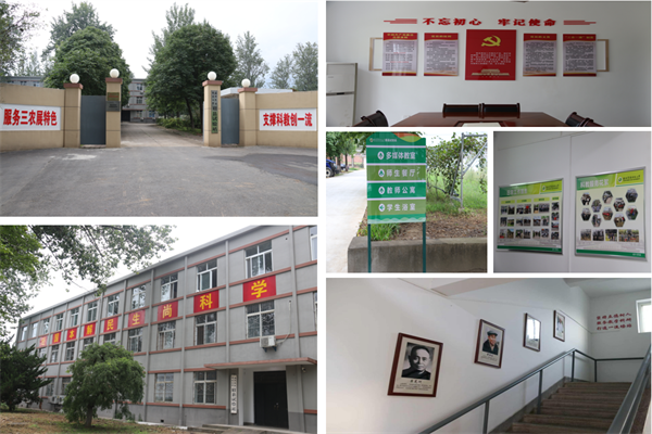 文化建设内容.png