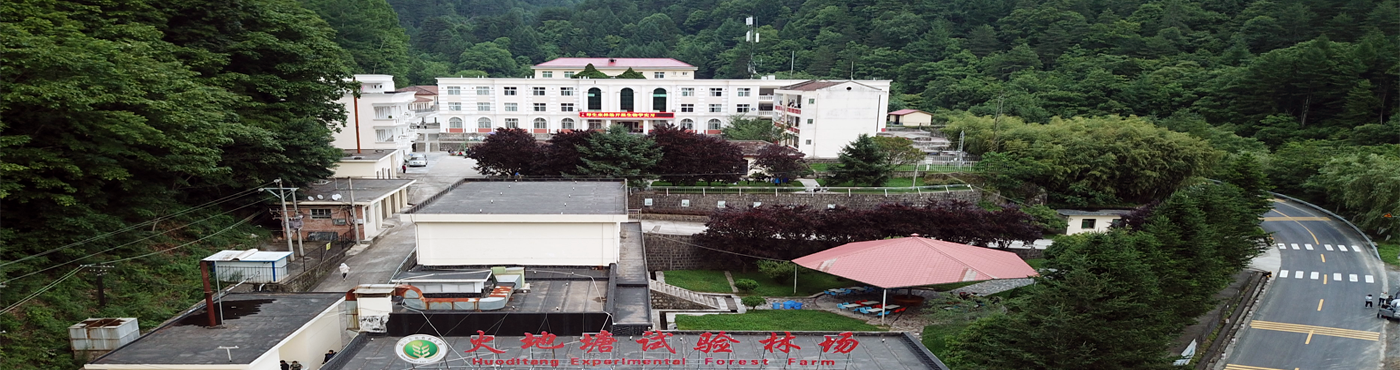 火地塘
