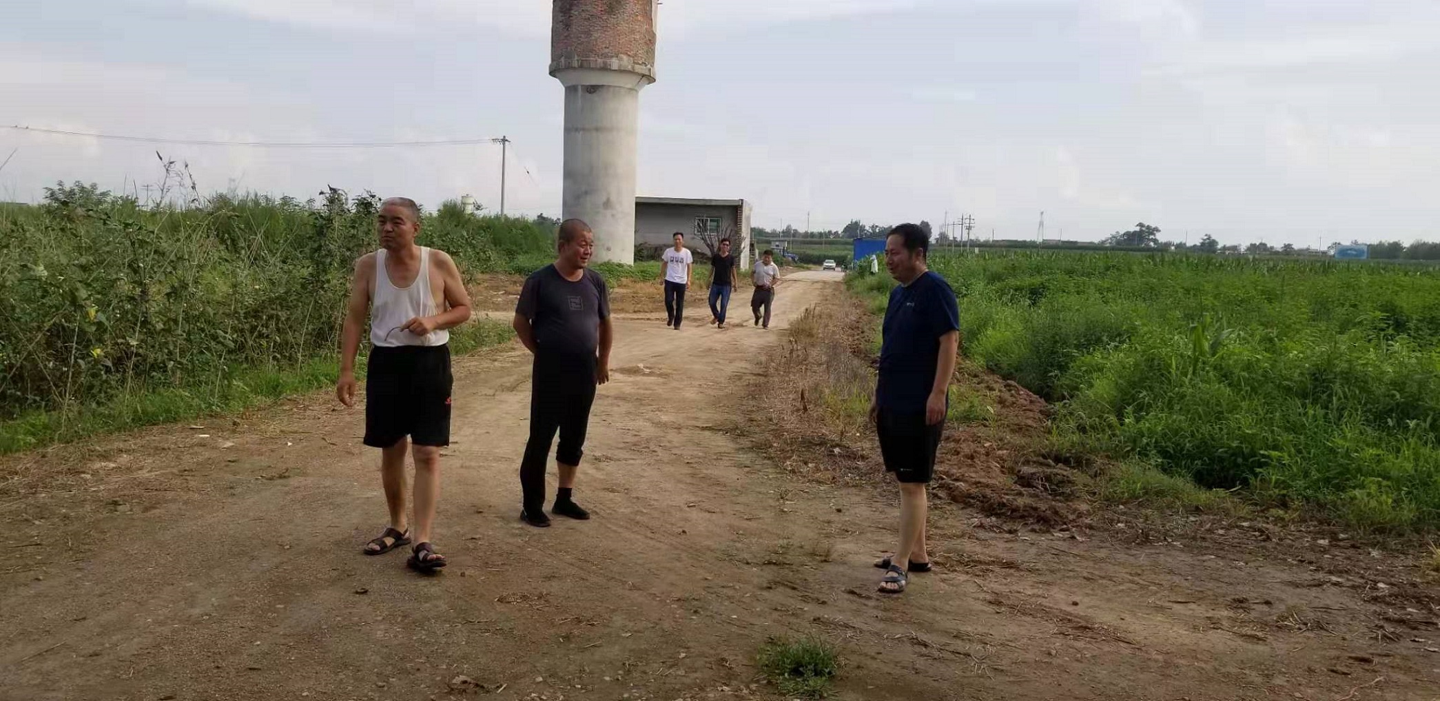  曹新庄试验农场汛期安全检查工作常抓不懈