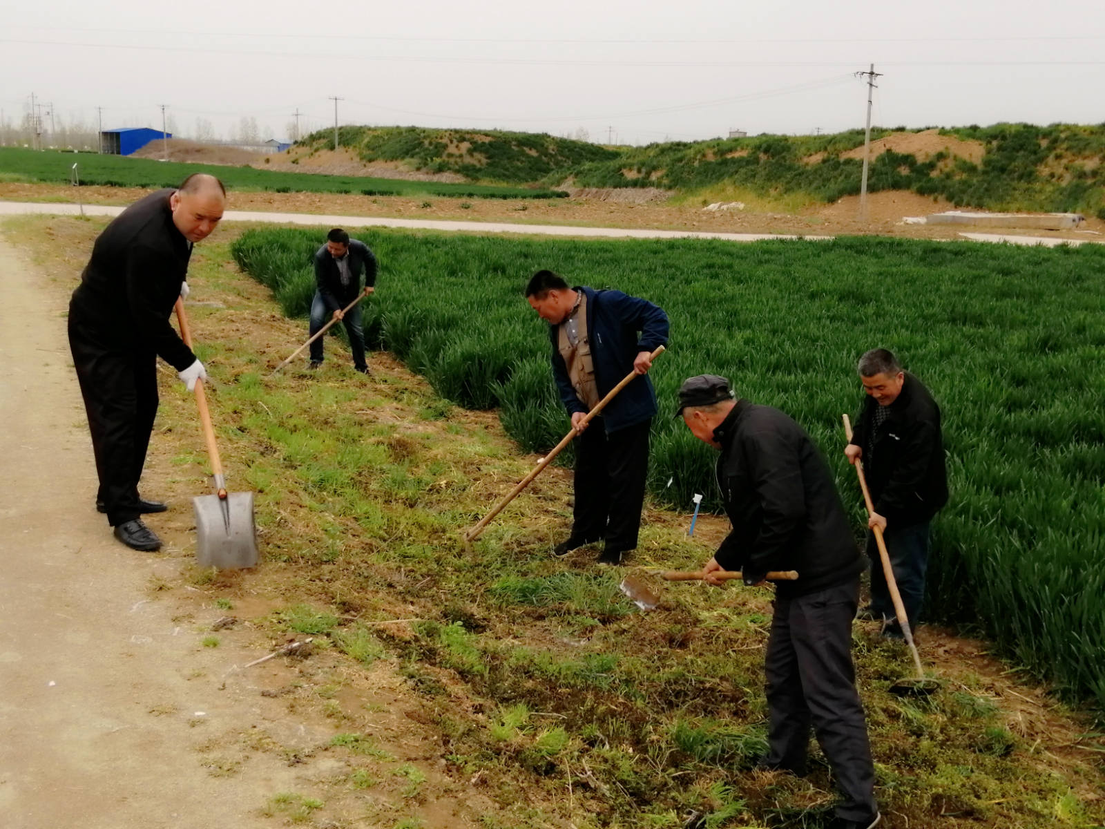 f0318ff71f6e4a2c8e9ab892c83024f9.jpg f0318ff71f6e4a2c8e9ab892c83024f9.jpg