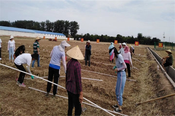 7f212362a40d4353bead6d1ef1d88f23.jpg 38faff7fc20340ddb21a158cf9ffe258_副本.jpg