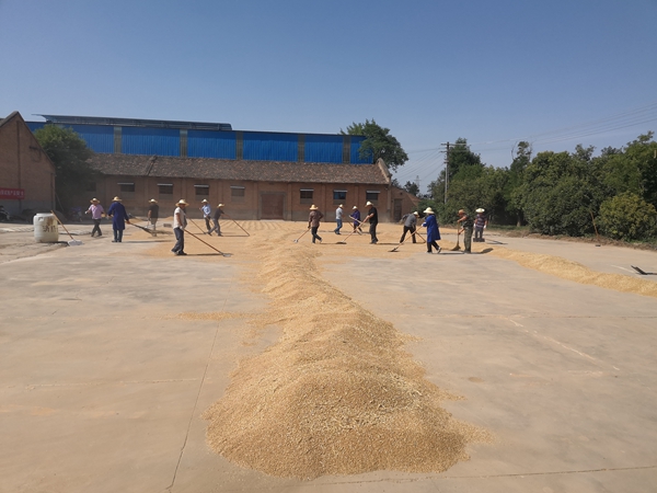 4èµ·åºæ¶å _坿¬.jpg