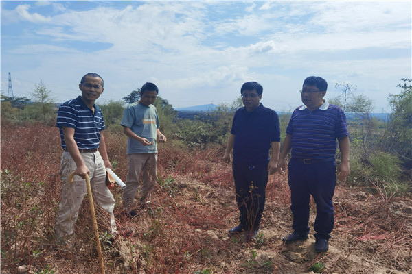 6bce22540a434a289009596cca7dd6ed.jpg 查看土地利用情况.jpg