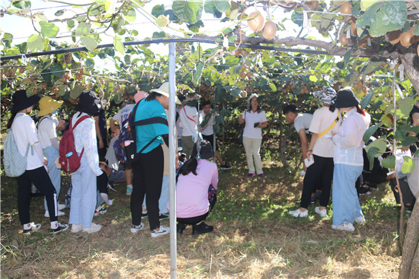 f71ba8f6f549428e9c1f74277a20ae66.jpg 黄丽丽教授带领学生在眉县试验站开展猕猴桃病理学教学实习_副本.jpg