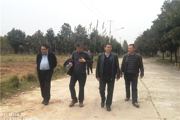 7dcee19a748e40adaa9d59de573d53ad.jpg 冷畅俭在周至试验站调研.jpg