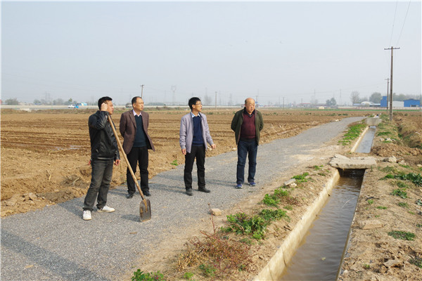 现场查看试验站闲置储备用地的种植和管护情况.jpg