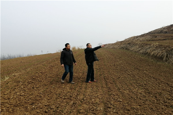 e10eaaaeddd54272a4fca1240a39564f.jpg 查看眉县试验站柴家岭基地.jpg