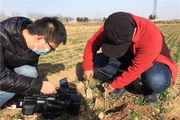 7a1a390d2af1495081ac403f3bb8ef26.jpg 采样研判分析小麦根系分蘖生长情况.jpg