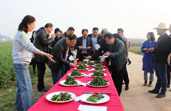 与会代表共同品鉴菜薹美食_副本.jpg