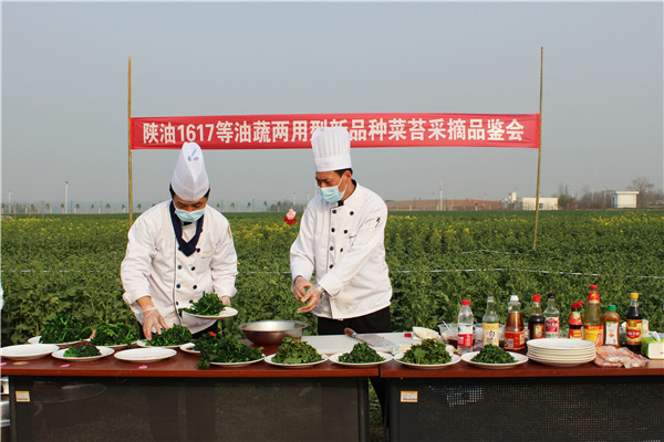 b1eb8d169d0e43218842802865fb26c2.jpg 专业厨师现场烹饪菜薹.jpg