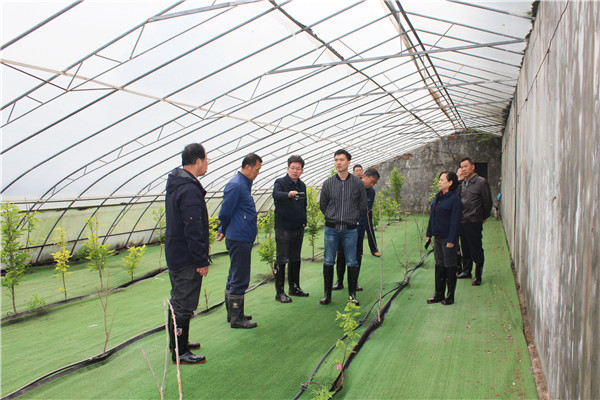 评审组考察温室大棚.jpg