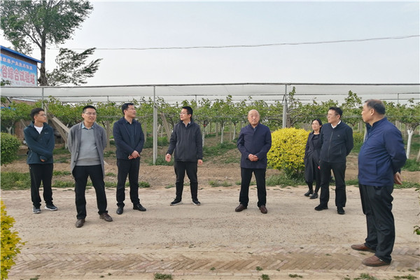 山西农大果树所梨研究基地调研.jpg