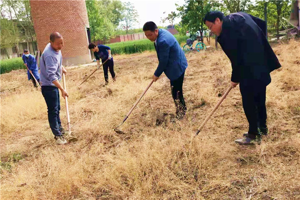 755f555ff0314872bcb3269019e74f03.jpg 清理田间杂草_副本.jpg